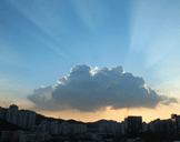 세상을 축복하는 교회